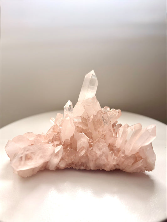 Natural Pink Quartz Crystal Cluster Specimen