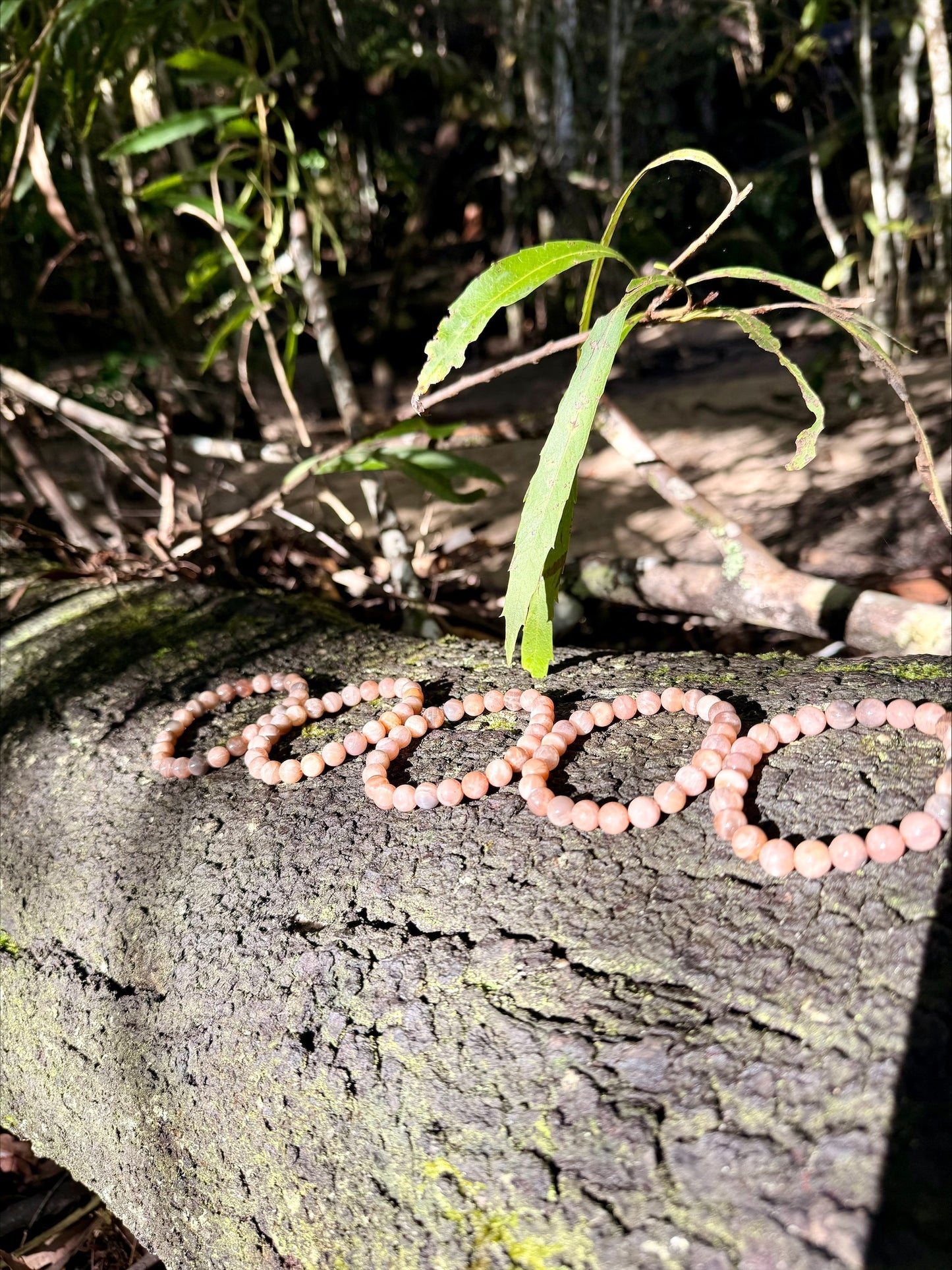 Peach Moonstone Bracelet | 8mm Natural Crystal Beads